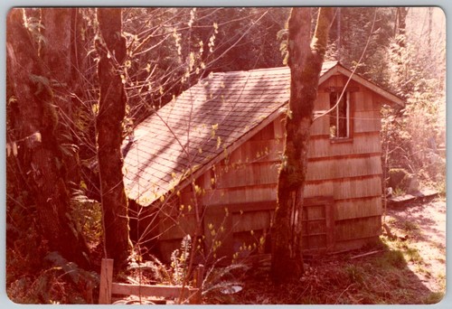 Vtg color snapshot - vtg, wooden