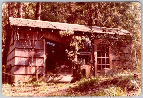 Vtg color snapshot rustic - vtg,