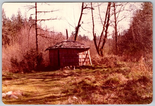 Vtg color snapshot wooden - snapshot,